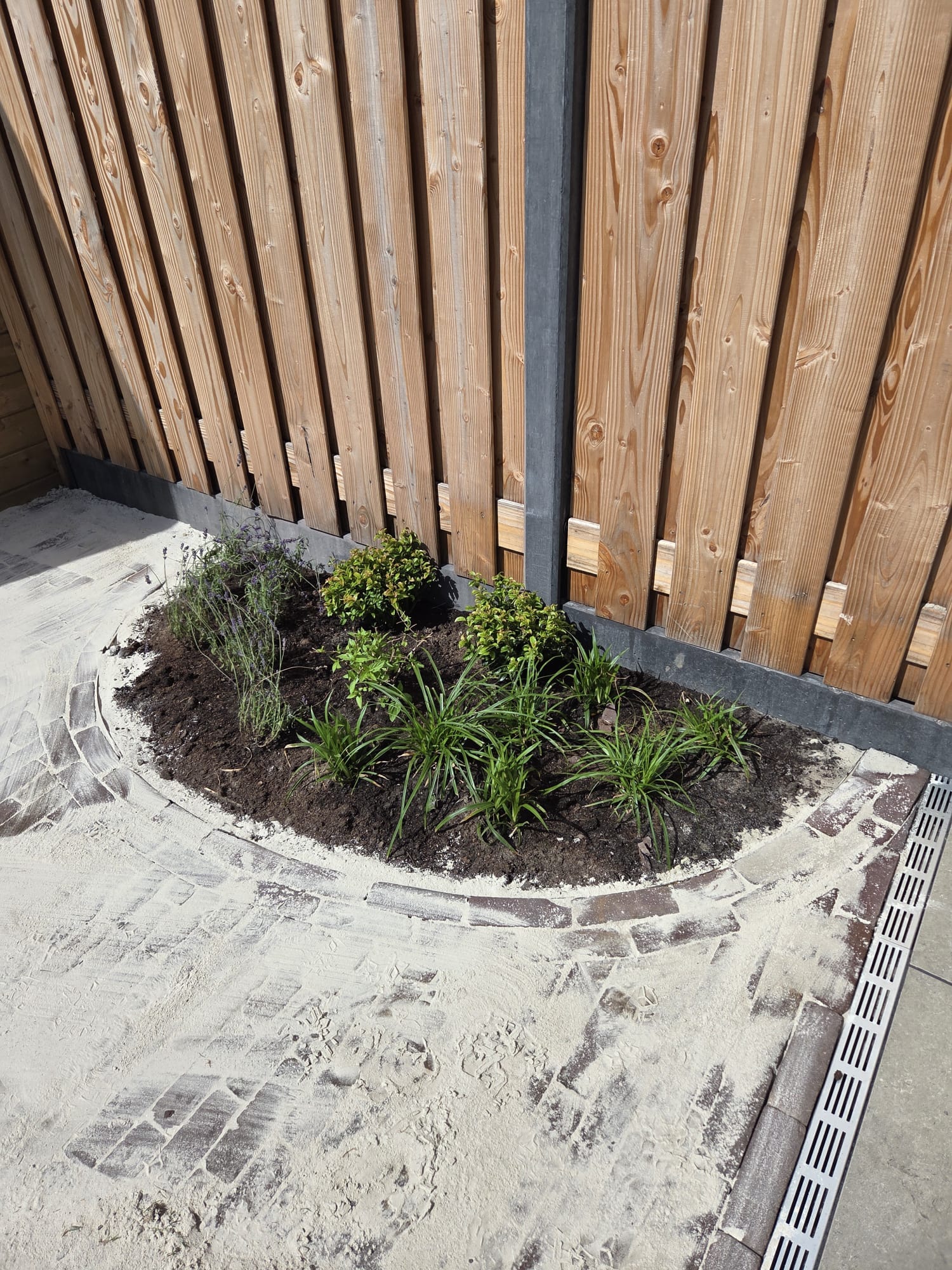 Organisch plantvak met siergrassen en heesters langs de schutting in stadstuin Hengelo