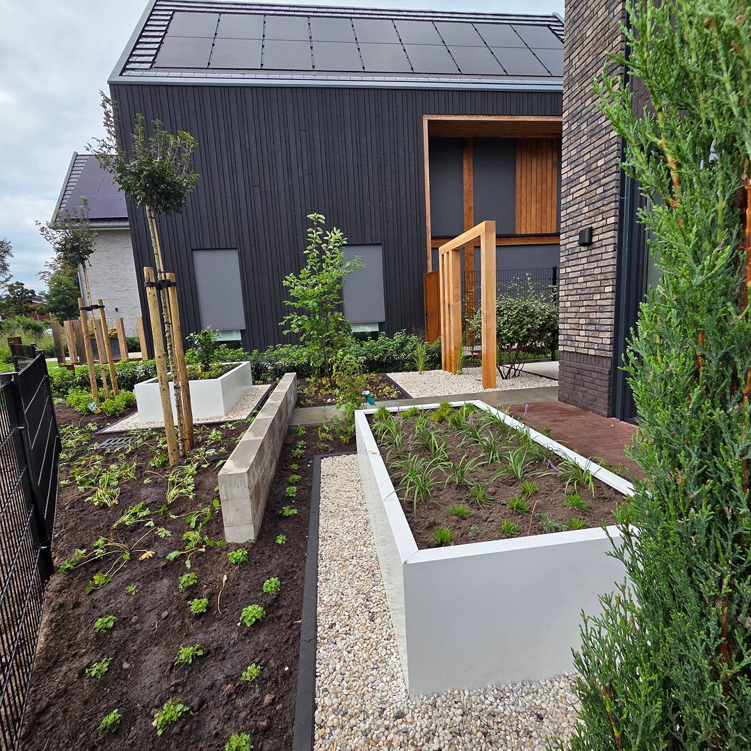 Verhoogde muur en witte bloembakken met jonge beplanting in de voortuin in Hengelo